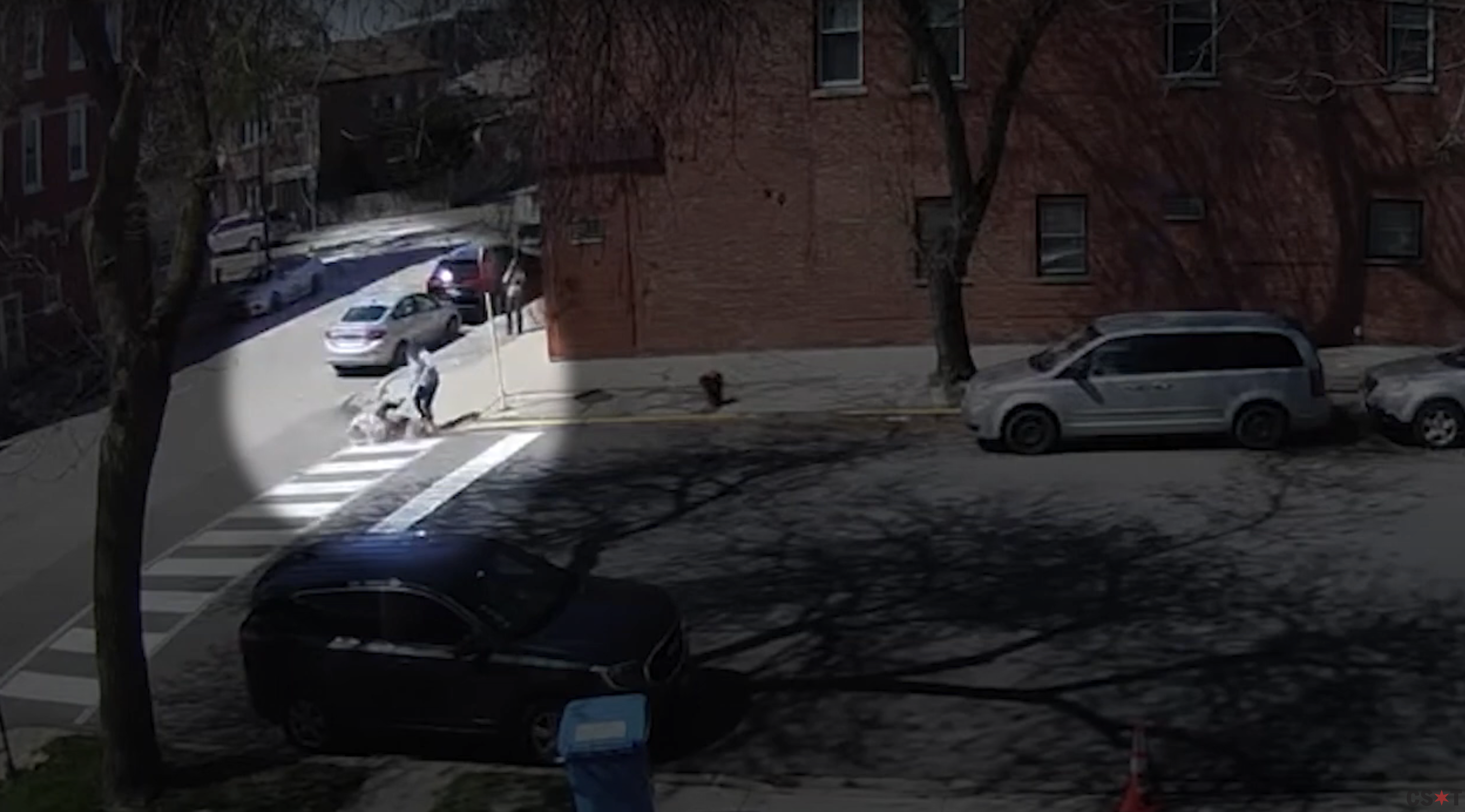 COPA investigating police officer who fatally shot pit bull held by neighbor in Bridgeport - Vimarsana News