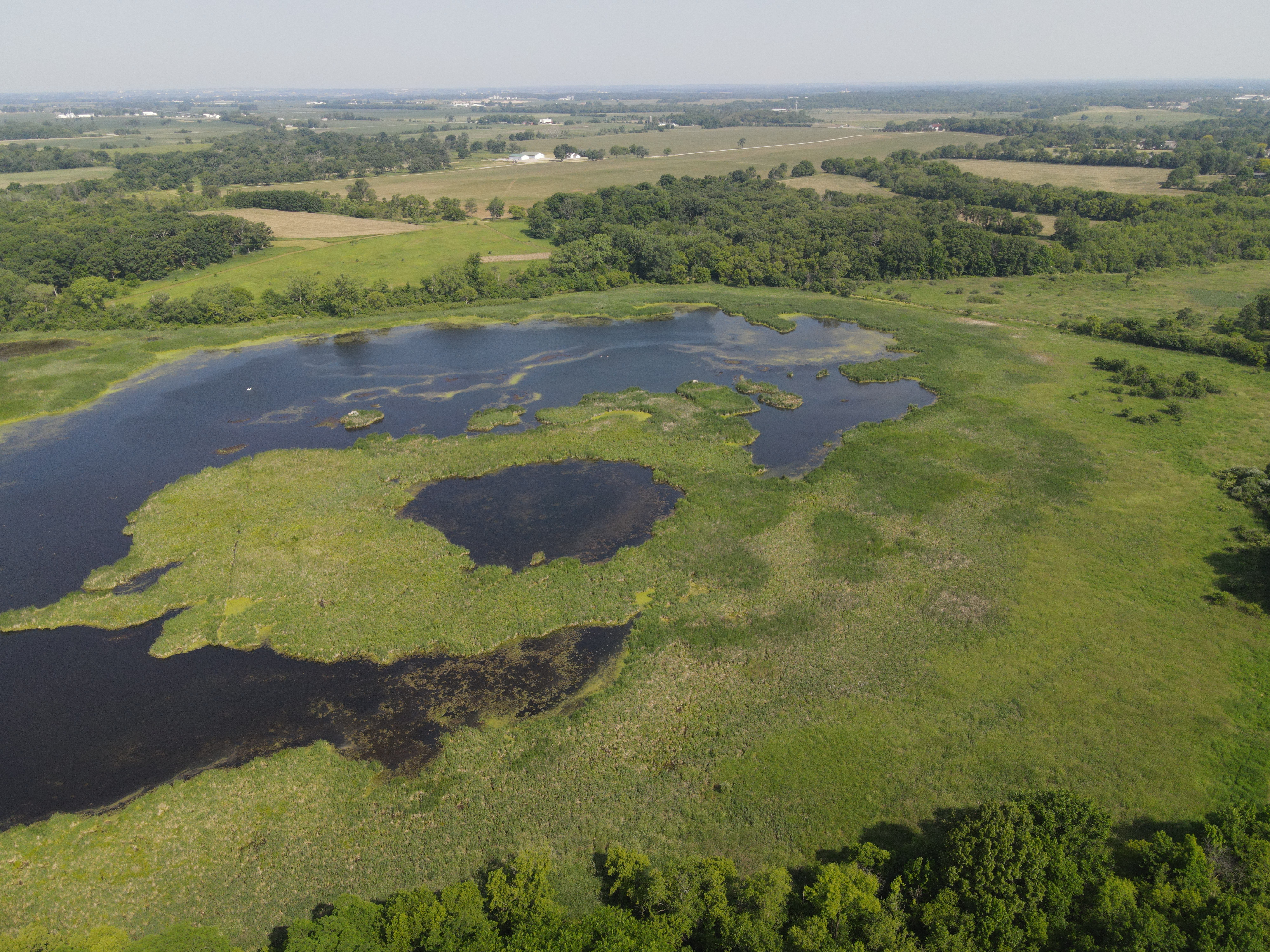 Acquisition of Tamarack Farms gives Hackmatack NWR a major add - Vimarsana News
