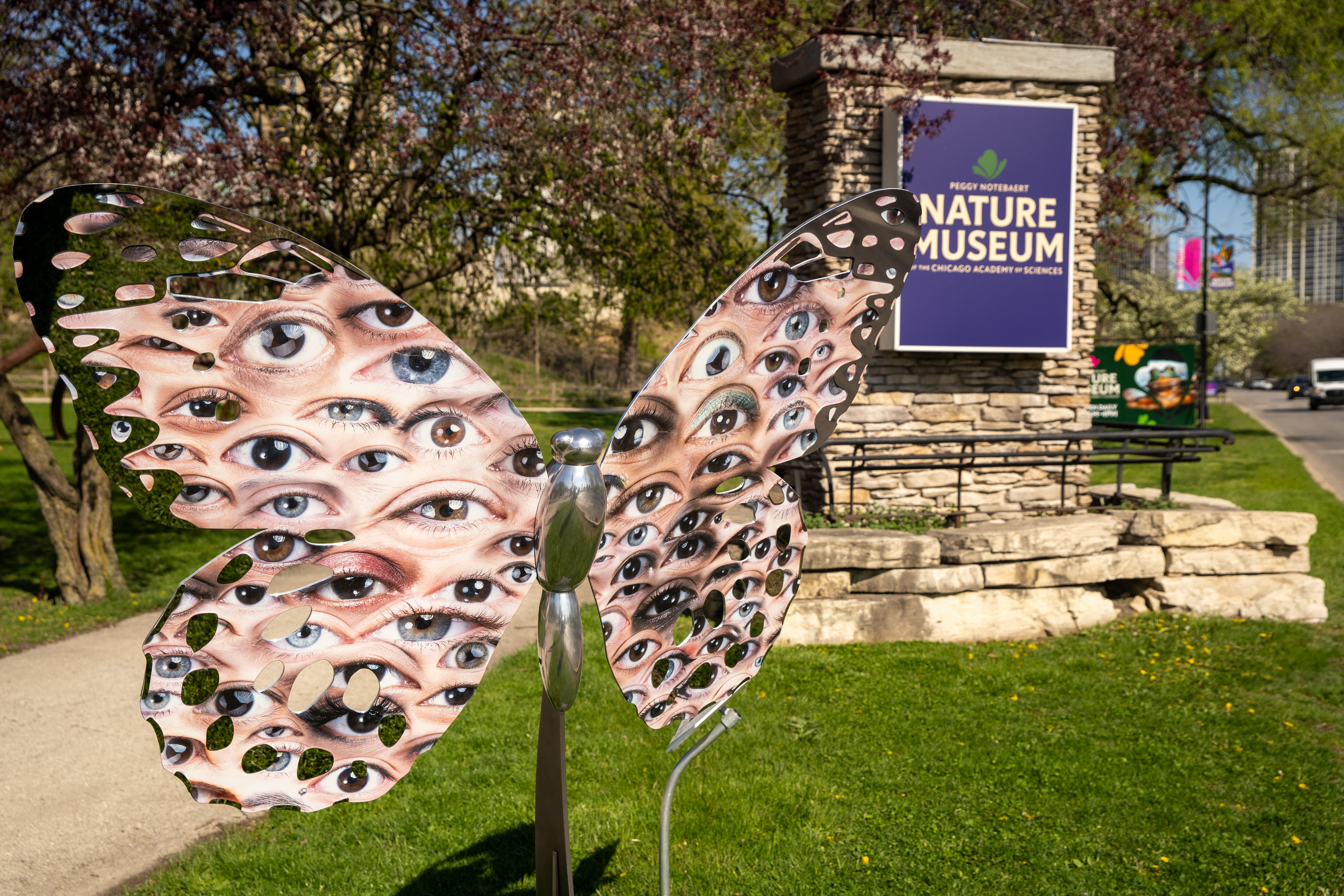 Butterfly sculptures unveiled outside Peggy Notebaert Museum before spreading wings to other parts of city - Vimarsana News