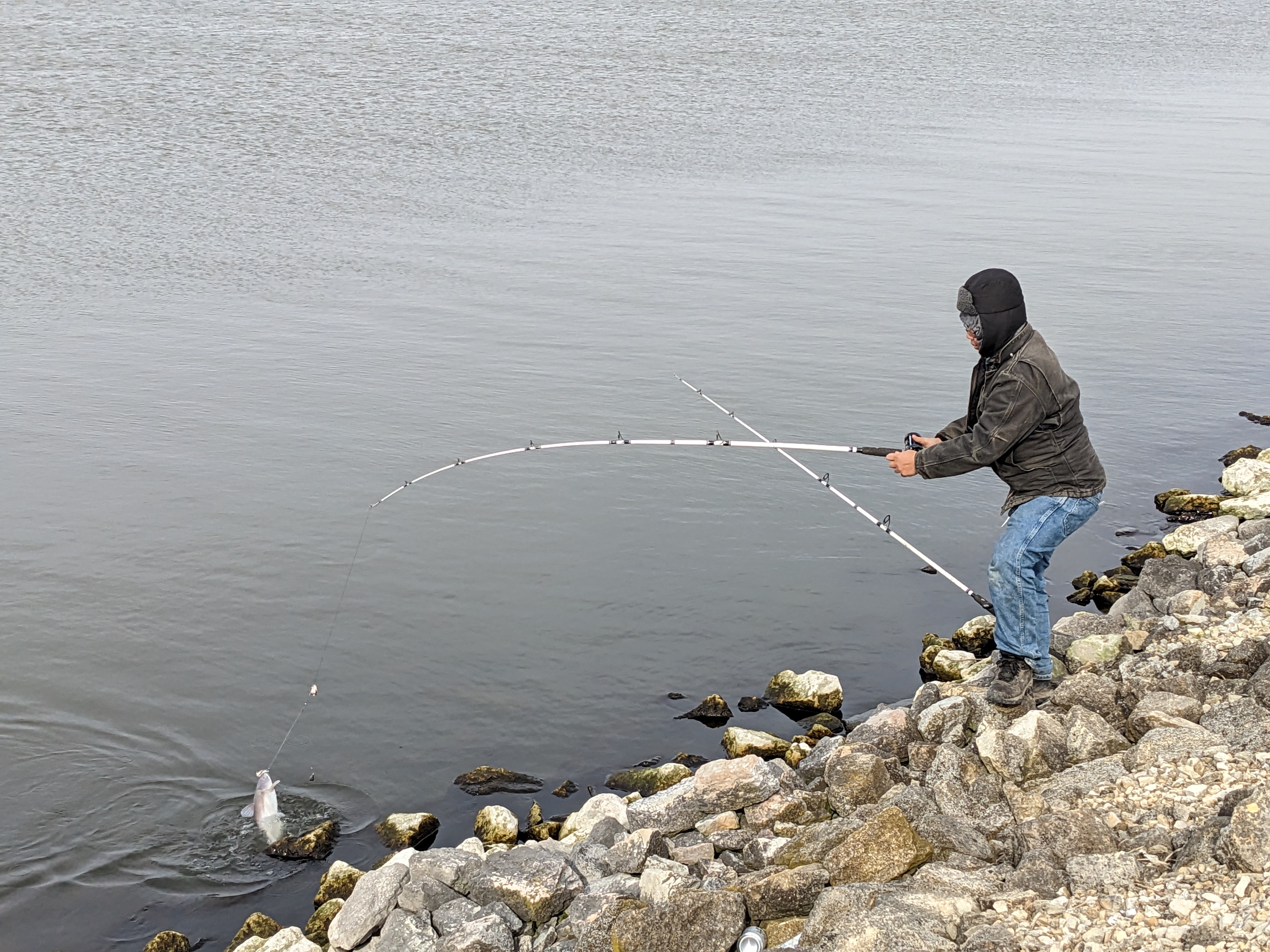 LaSalle reopens Friday with hopes for blues, bass and bluegills - Vimarsana News