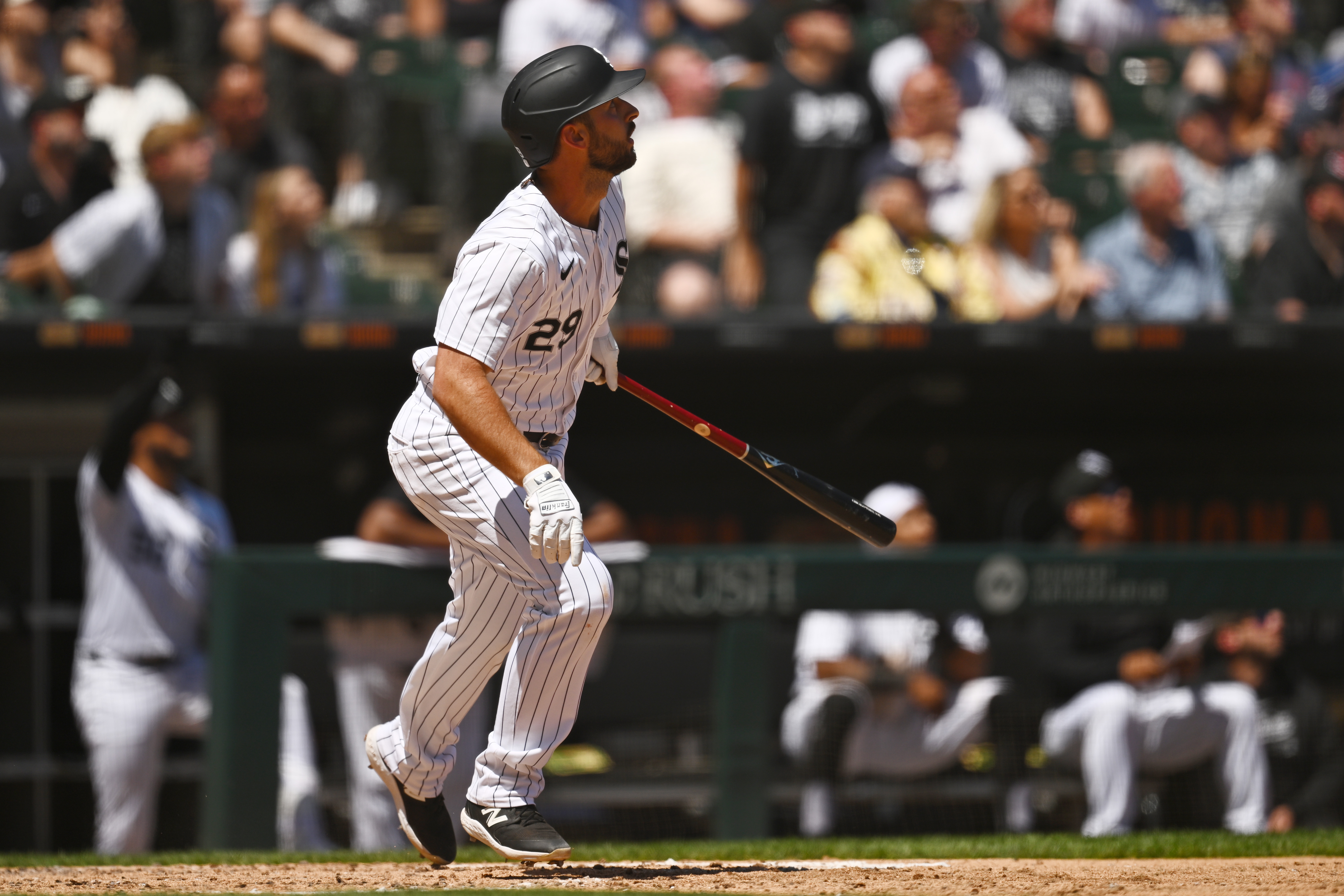 White Sox unable to produce runs late in 6-4 loss to Red Sox - Vimarsana News